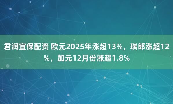 君润宜保配资 欧元2025年涨超13%，瑞郎涨超12%，加元12月份涨超1.8%
