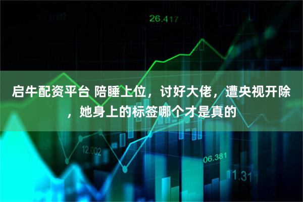 启牛配资平台 陪睡上位，讨好大佬，遭央视开除，她身上的标签哪个才是真的